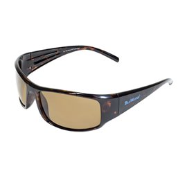 Очки BluWater Florida-1 Polarized Brown