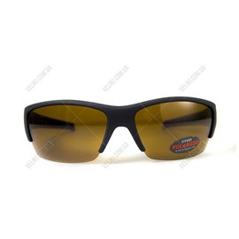 Очки BluWater Daytona-2 Polarized Brown