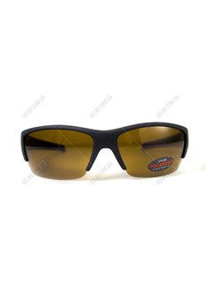 Очки BluWater Daytona-2 Polarized Brown