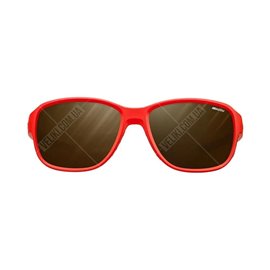 Очки Julbo Montebianco 2 RV HM2-4 Brown