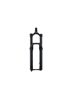 Вилка RockShox Domain RC DebonAir 29' 15x110 150 мм