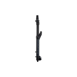 Вилка RockShox Domain RC DebonAir 29' 15x110 150 мм