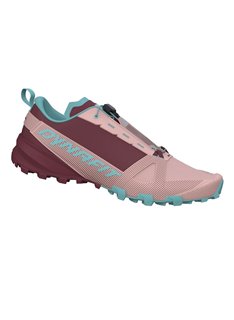 Кроссовки Dynafit Traverse GTX Wmn