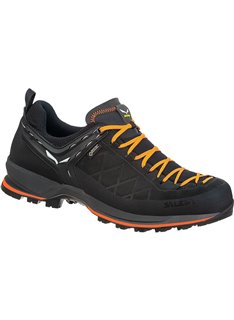 Кроссовки Salewa MTN Trainer 2 GTX