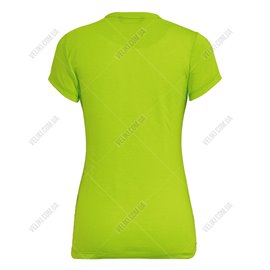 Футболка Salewa Solidlogo Dri-Release Wmn