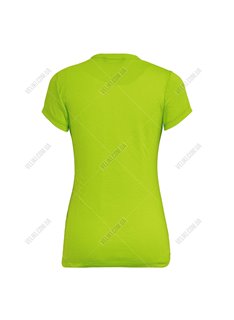 Футболка Salewa Solidlogo Dri-Release Wmn