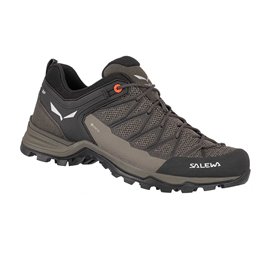 Кроссовки Salewa MTN Trainer Lite GTX Mns