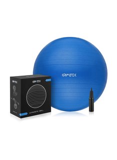 Фитбол Gymtek 65 см + насос