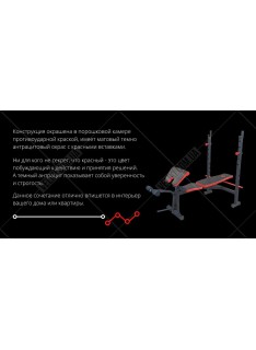 Скамья для жима RN-Sport ReadMeBlack с приставкой Скотта