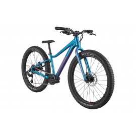 Велосипед Cannondale Kids Trail Plus 24