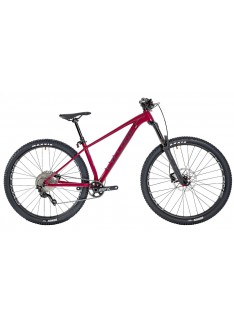 Велосипед Cyclone SLX PRO Trail 29'