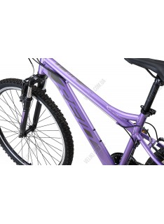 Велосипед Reid MTB Sport WSD 26'