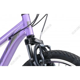 Велосипед Reid MTB Sport WSD 26'