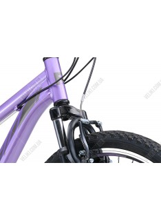 Велосипед Reid MTB Sport WSD 26'